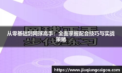星空·综合体育官方网站
