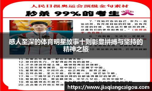 星空·综合体育官方网站