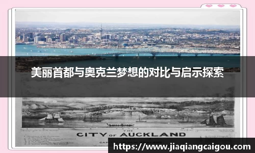 星空·综合体育官方网站