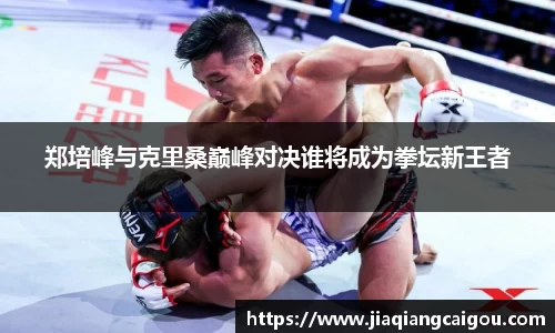 星空·综合体育中国官网